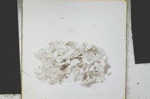 Plane Polarized, S21870