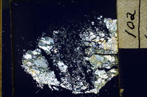 Cross Polarized, S21877