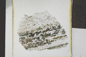 Plane Polarized, S21879