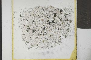 Plane Polarized, S21888
