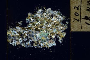Cross Polarized, S21899