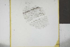 Plane Polarized, S21900