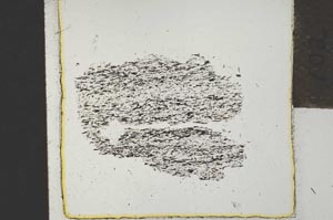 Plane Polarized, S21901