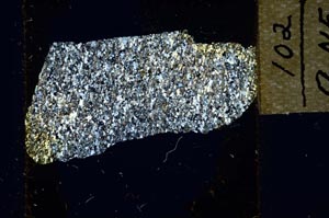 Cross Polarized, S21925