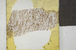 Plane Polarized, S21925