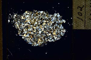Cross Polarized, S21940