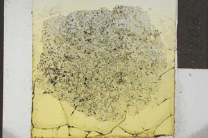 Plane Polarized, S21942