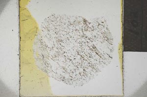 Plane Polarized, S21945