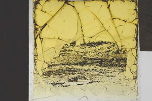 Plane Polarized, S21946