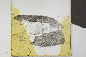 Plane Polarized, S21947