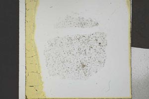 Plane Polarized, S21953