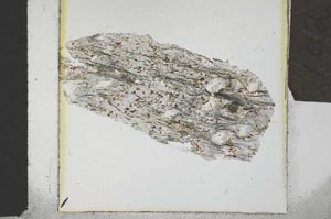 Plane Polarized, S21956