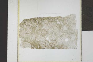 Plane Polarized, S21962