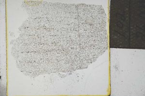 Plane Polarized, S21968