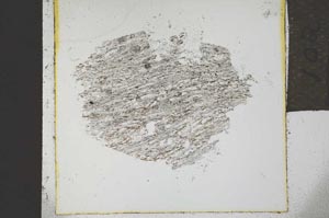 Plane Polarized, S21969