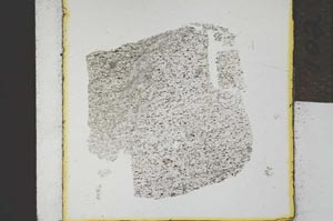 Plane Polarized, S21970
