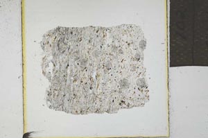 Plane Polarized, S21971