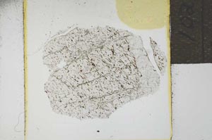 Plane Polarized, S21974