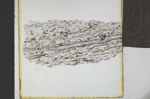 Plane Polarized, S21976