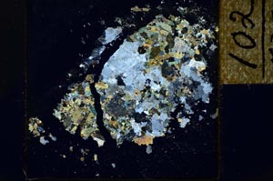 Cross Polarized, S21977