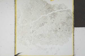 Plane Polarized, S21979