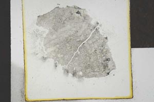 Plane Polarized, S21980