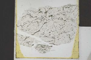 Plane Polarized, S21986