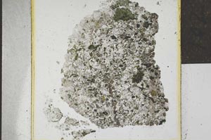 Plane Polarized, S21988