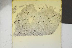 Plane Polarized, S21990