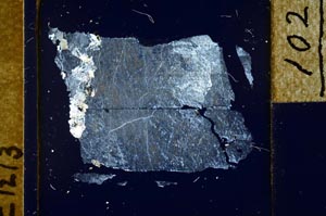 Cross Polarized, S21991