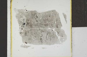Plane Polarized, S21991