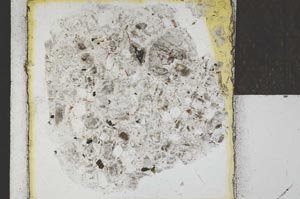Plane Polarized, S21994