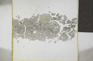 Plane Polarized, S21997
