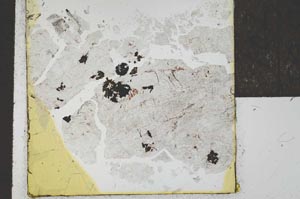 Plane Polarized, S22013