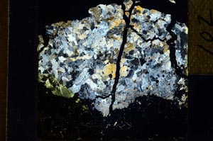 Cross Polarized, S22024