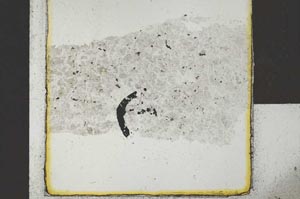 Plane Polarized, S22027