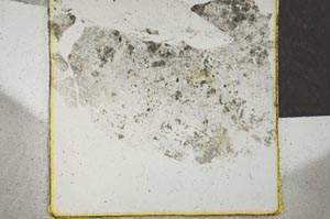 Plane Polarized, S22030