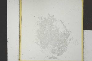 Plane Polarized, S22032