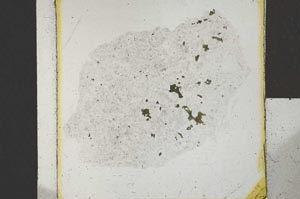 Plane Polarized, S22033