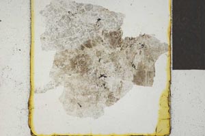 Plane Polarized, S22034