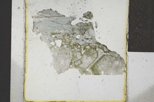 Plane Polarized, S22041