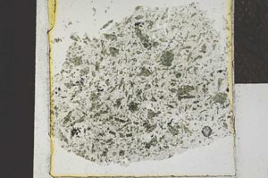 Plane Polarized, S22042