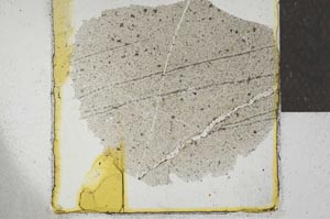 Plane Polarized, S22043