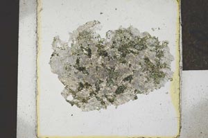 Plane Polarized, S22051