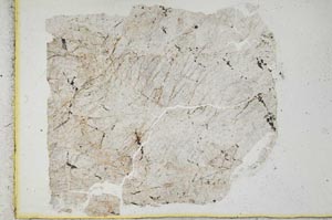 Plane Polarized, S22052