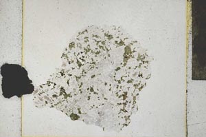 Plane Polarized, S22054/A
