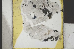 Plane Polarized, S22056