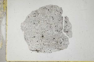 Plane Polarized, S22057