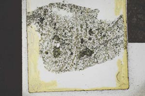 Plane Polarized, S22058