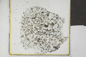 Plane Polarized, S22059